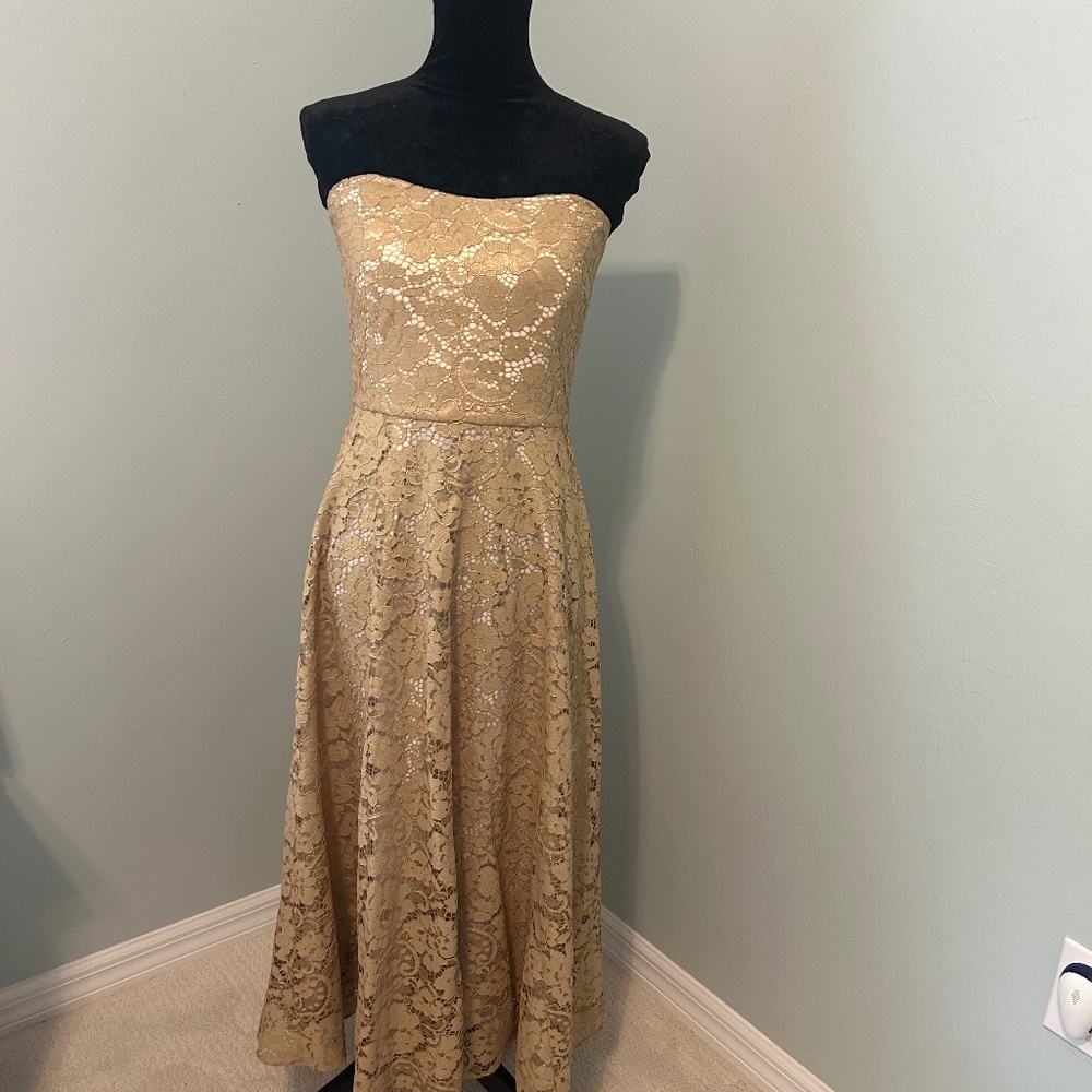 NWT Lilly Pulitzer  Aubrianna Strapless Lace Midi-Dress size 4